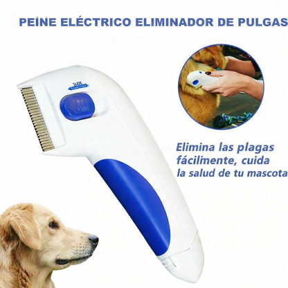 FleaZap