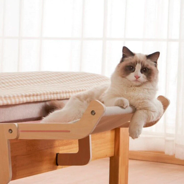 Pawsus